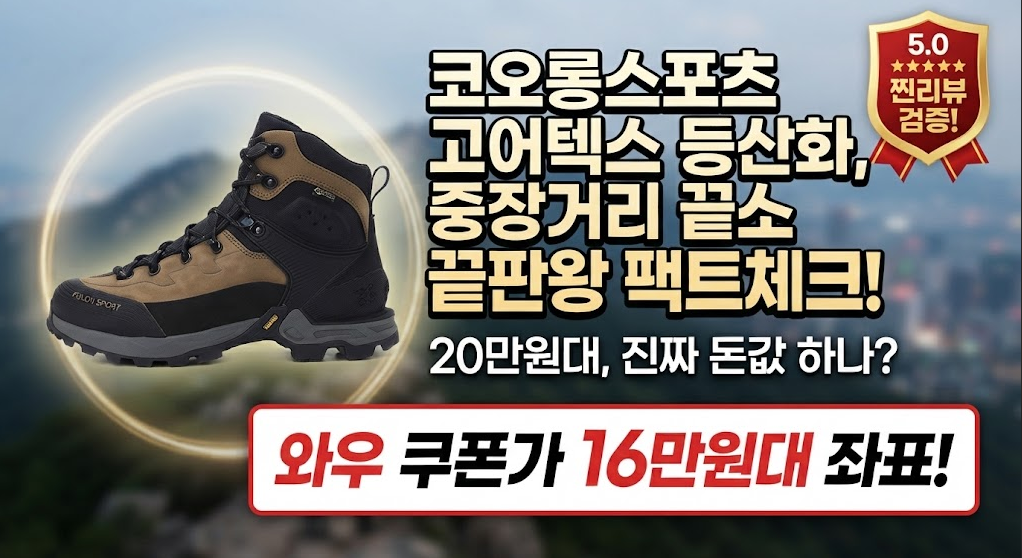 코오롱 스포츠 남성 고어텍스 트레킹화 제품 이미지
