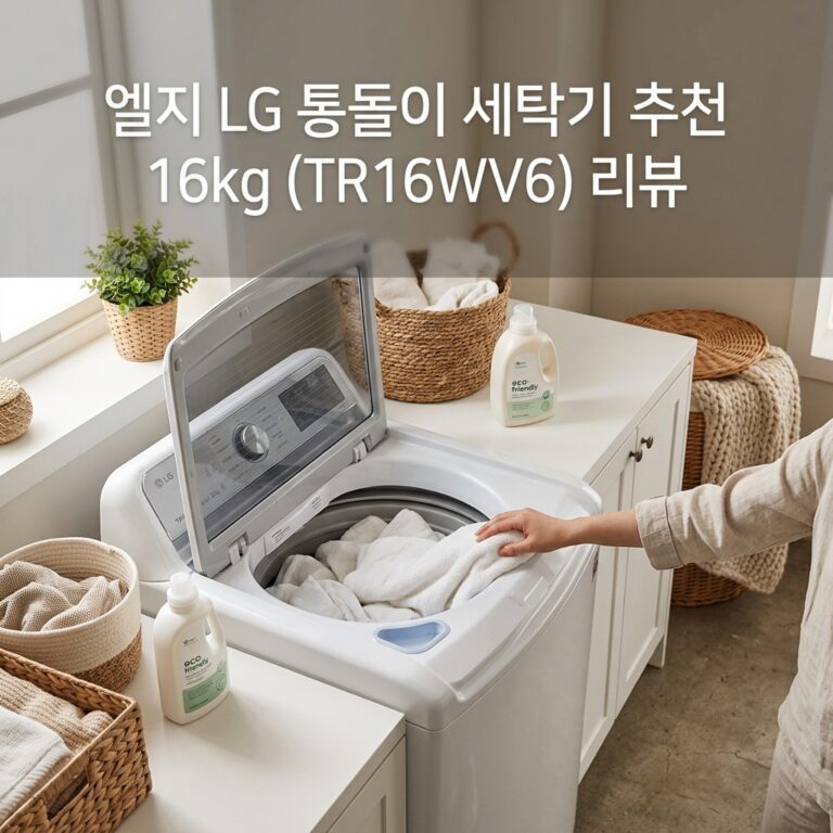 엘지 LG 통돌이 세탁기 추천 16kg (TR16WV6) 리뷰