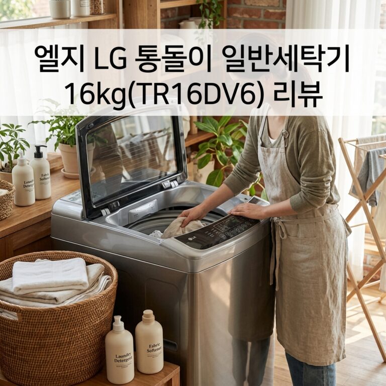 엘지 LG 통돌이 일반세탁기 16kg(TR16DV6) 리뷰